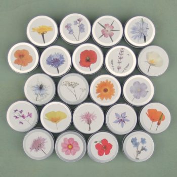 Saat im Döschen Übersicht