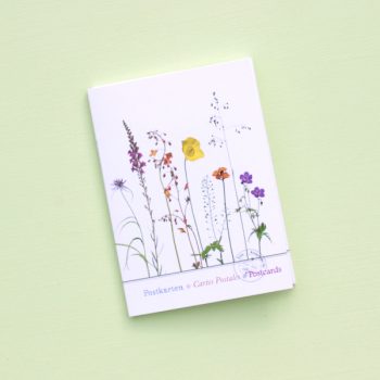 Postkartenset 