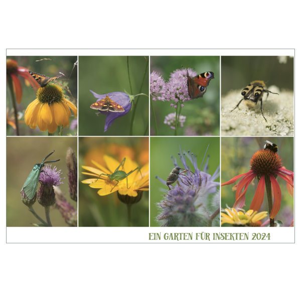"Ein Garten für Insekten" Kalender 2024
