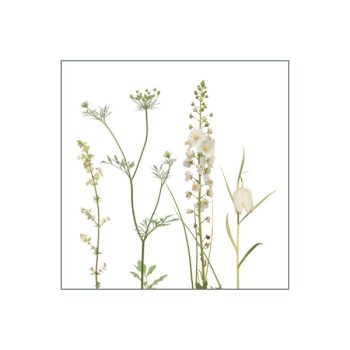 Fliesenaufkleber klein 