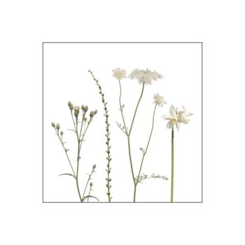 Fliesenaufkleber klein 